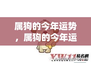 属狗人今年运势详解,运势分析与发展预测