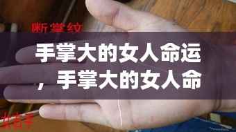 飞扬跋扈 第4页