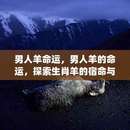 生肖羊男人的命运探索,宿命与成长之路