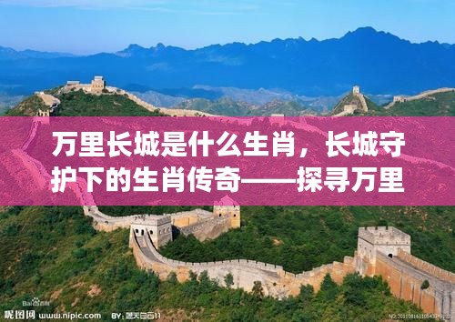 长城下的生肖传奇,探寻万里长城与生肖的奥秘交织