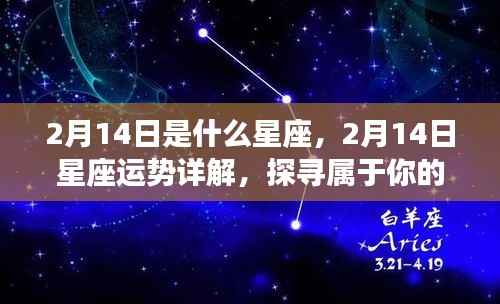 2月14日星座运势揭秘,探寻属于你的星座奥秘