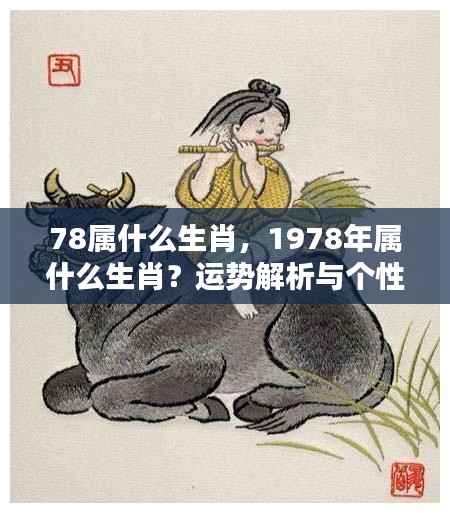揭秘生肖运势,揭秘属马人在1978年的个性特点与运势解析
