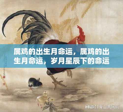 瑞雪纷飞 第3页