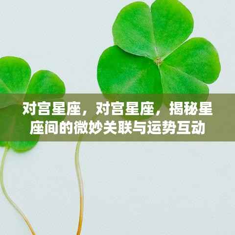 揭秘对宫星座间的微妙关联与运势互动