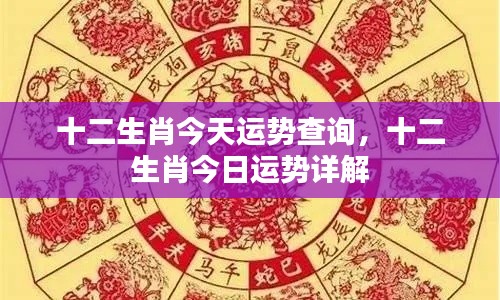 十二生肖今日运势详解及查询结果分析