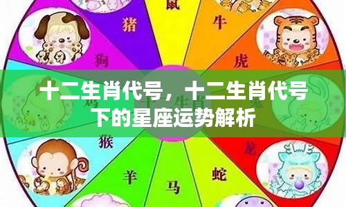 十二生肖代号与星座运势解析,探索生肖与星座的神秘联系