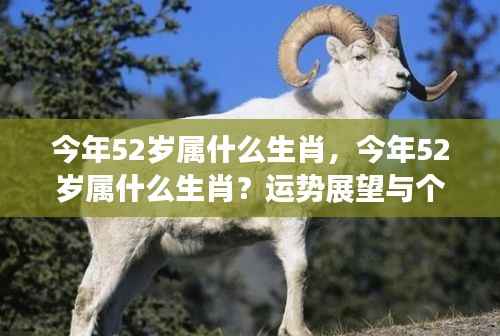 今年52岁属生肖运势展望与个性解析