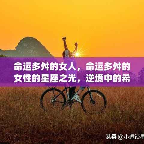 纲举目张 第3页