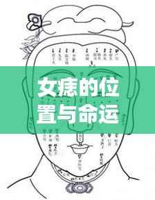 矫枉过正 第3页