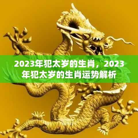 2023年犯太岁的生肖运势大解析