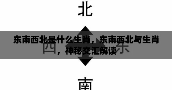 张弓拔弩 第3页