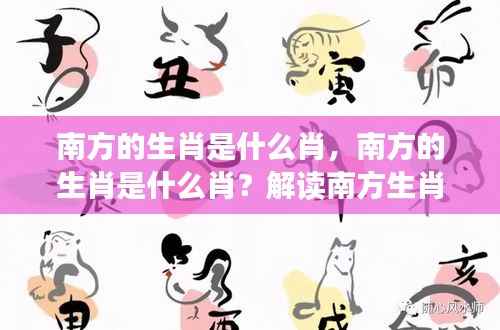 南方生肖运势与特点深度解读,探寻生肖奥秘与运势走向