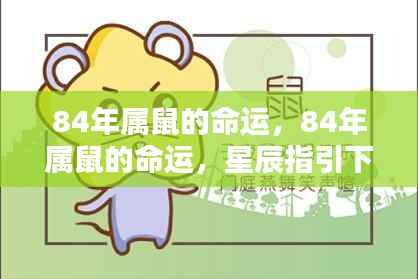 星辰指引下的命运轮廓,揭秘84年属鼠人的命运轨迹