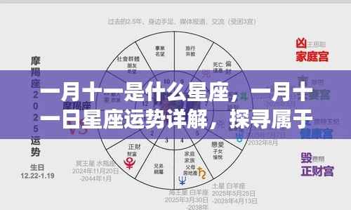 一月十一日星座运势详解与奥秘探寻,属于你的星座运势及奥秘解析