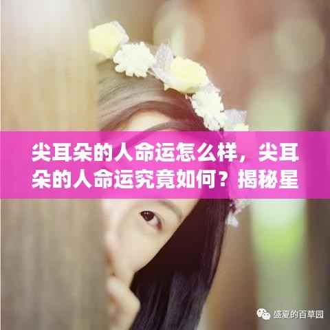 尖耳朵的人命运揭秘,星座运势背后的秘密探究