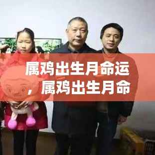 属鸡出生月份与命运解析,揭秘不同月份出生的鸡年人的性格与未来运势走向