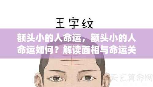 学贯中西 第3页