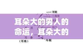 耳朵大的男人命运之星,解读星象与人生轨迹的交融之谜