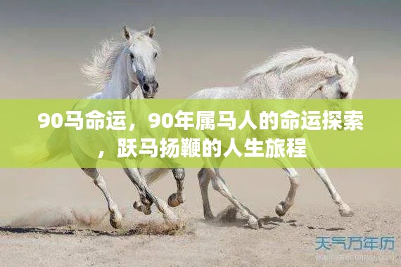 跃马扬鞭的人生旅程,揭秘90年属马人的命运探索