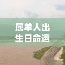 以卵就石 第3页