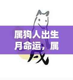 属狗人出生月命运详解,揭示不同月份出生的属狗人性格与命运特点