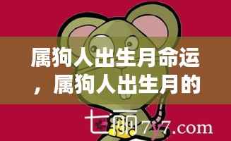 属狗人出生月命运详解,揭示不同月份出生的属狗人性格与命运特点