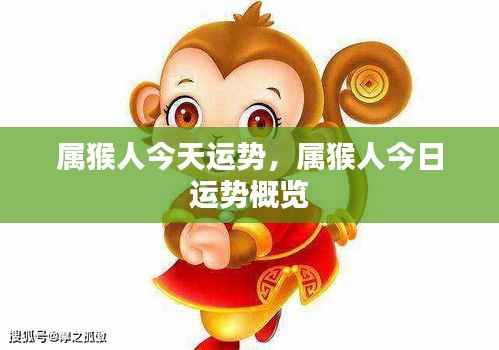 属猴人今日运势概览,今日运势分析与预测