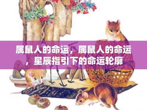 属鼠人的命运,星辰指引下的命运轮廓探索