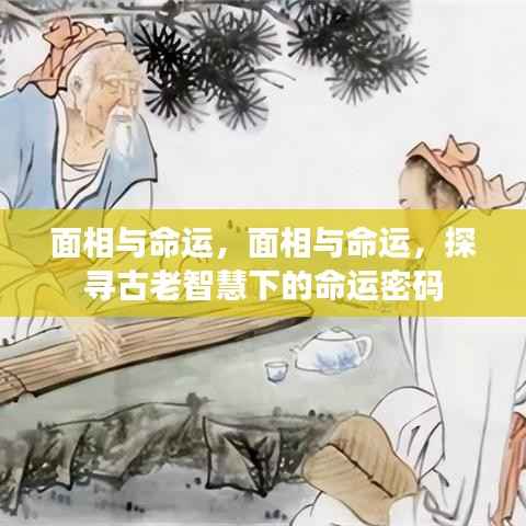 面相与命运,探寻古老智慧中的命运密码