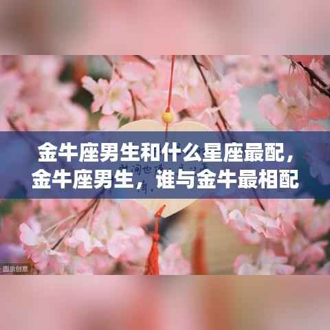 金牛座男生的星座爱情解析,最相配的星座伴侣探索