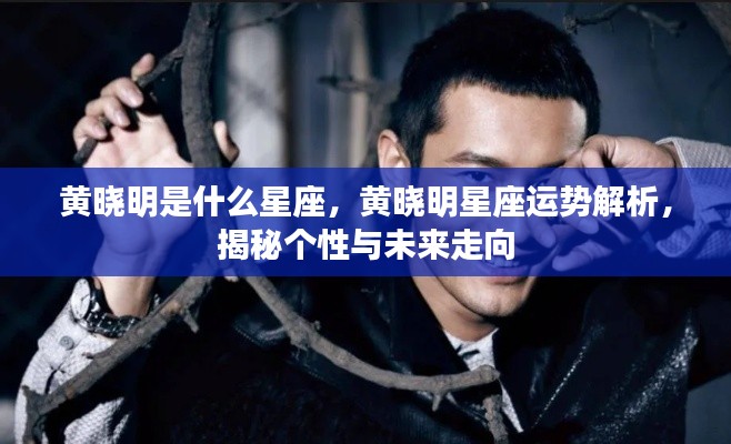 黄晓明星座解析揭秘,个性特点与未来走向的运势探讨