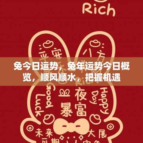 兔年今日运势概览,把握机遇,顺风顺水,迎接好运。