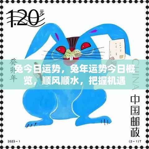 兔年今日运势概览,把握机遇,顺风顺水,迎接好运。