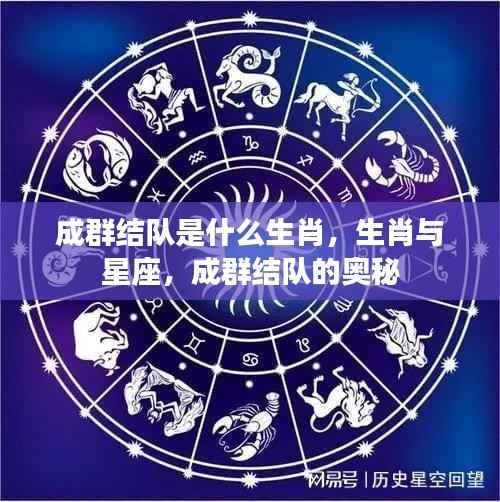 生肖与星座揭秘,成群结队背后的生肖奥秘