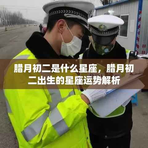 腊月初二星座运势解析,探寻星座运势之旅