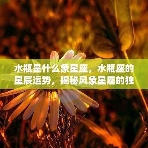 揭秘水瓶座,风象星座的独特魅力与星辰运势解析