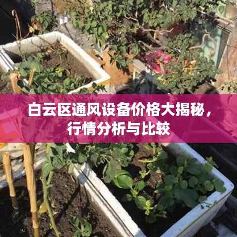 白云区通风设备价格大揭秘,行情分析与比较