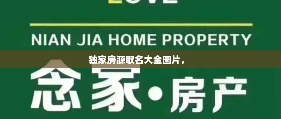 独家房源取名大全图片,