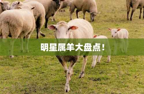 攀高结贵 第3页