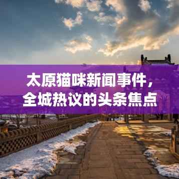 太原猫咪新闻事件,全城热议的头条焦点!