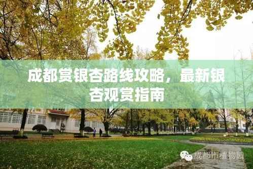 水静河飞 第3页