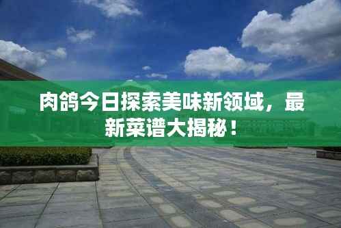 肉鸽今日探索美味新领域,最新菜谱大揭秘!
