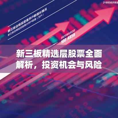 新三板精选层股票全面解析,投资机会与风险展望