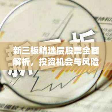 新三板精选层股票全面解析,投资机会与风险展望