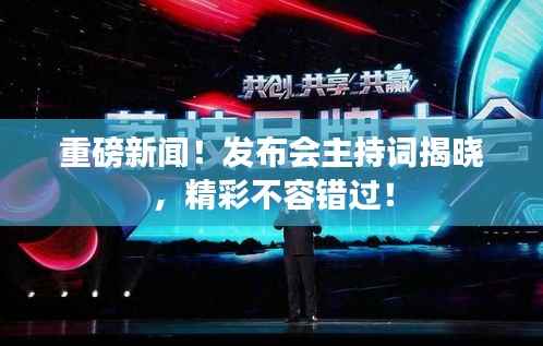 虚张声势 第3页