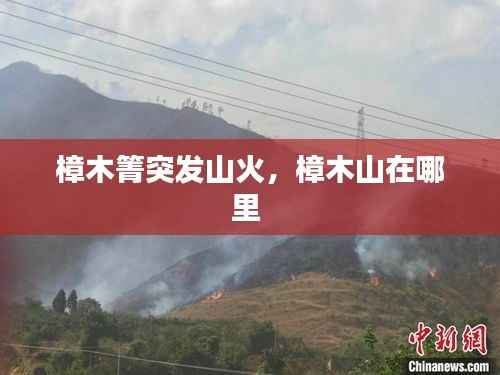 衣不兼采 第3页