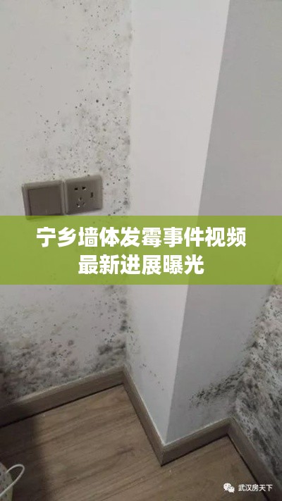 宁乡墙体发霉事件视频最新进展曝光