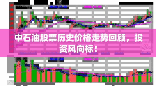 中石油股票历史价格走势回顾,投资风向标!
