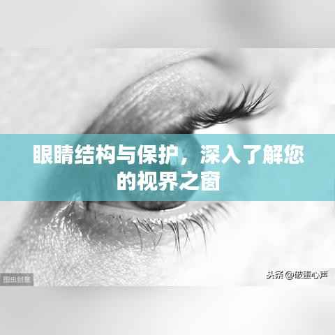 眼睛结构与保护,深入了解您的视界之窗