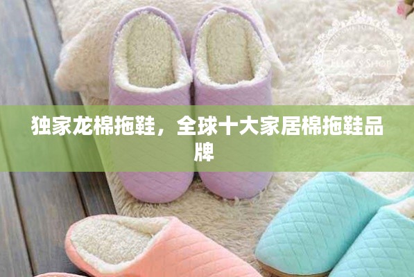 独家龙棉拖鞋,全球十大家居棉拖鞋品牌